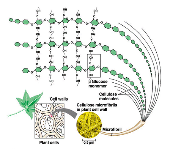 raw material structure